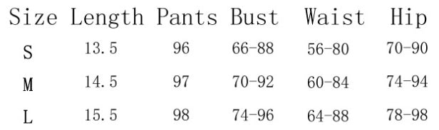 Women's High-waisted Skirt Two-piece Set