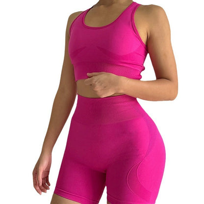 Quick-drying Sports Suit Women's Seamless Yoga Suit Yoga Clothes Shorts Two-piece Set